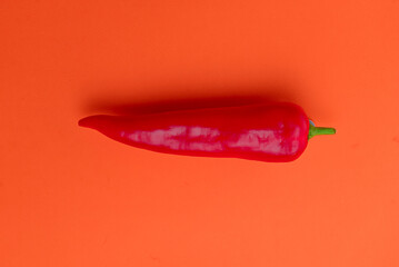 Flat lay view of hot red chili peppers. Food background. Copy space. Bright red orange background. Design banner.