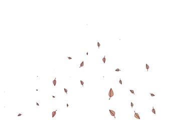 Light Orange vector sketch layout.