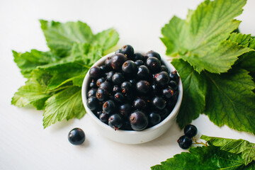 black currant in ceramic plate