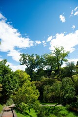 beautiful panorama of a well-kept lawn with several plants