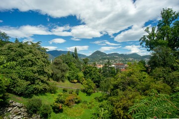 Obraz premium beautiful panorama of a well-kept lawn with several plants