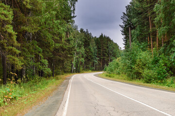 Fototapeta na wymiar Beautiful forest landscape. Empty twisting road. Dangerous turn of the road in the forest.