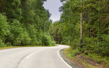 Fototapeta na wymiar Empty twisting road. Dangerous turn of the road in the forest.Beautiful forest landscape.