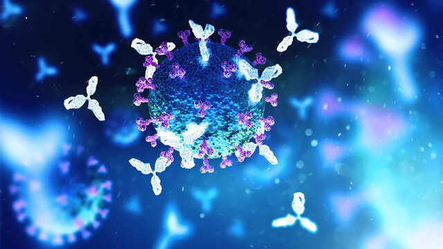 Antibodies attacking SARS-CoV-2 virus, 3D illustration for Chinese coronavirus COVID19 treatment, diagnosis and prevention