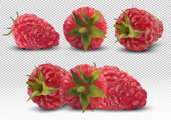 Set of raspberry from different angles on transparent background. Useful ripe fresh raspberry rich in vitamins, natural product. Realistic vector illustration