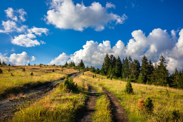 Beautiful hills, forest and meadows on Golija mountain in Serbia