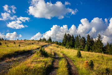 Fototapeta na wymiar Beautiful hills, forest and meadows on Golija mountain in Serbia