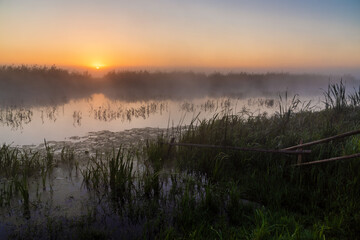 Piękny poranek z mgłami w Dolinie Narwi. Rzeka Narew, Podlasie, Polska  © podlaski49