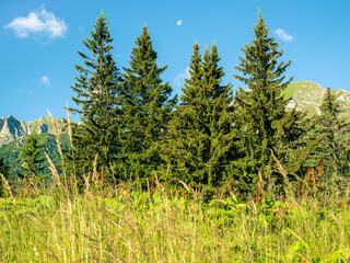 Moon hanging over the Bucegi Mountains, in Romania. Morning landscape with mountains against blue sky.