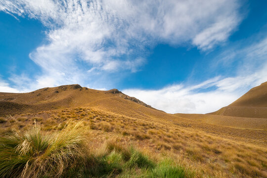 Golden grasses with mountain view in the background at Lindis Pass Summit, Otago Region, New Zealand, South Island on a beautiful blue sky summer day.