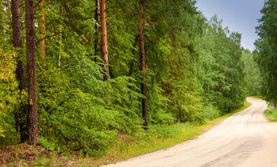 Empty twisting road. Dangerous turn of the road in the forest.Beautiful forest landscape.