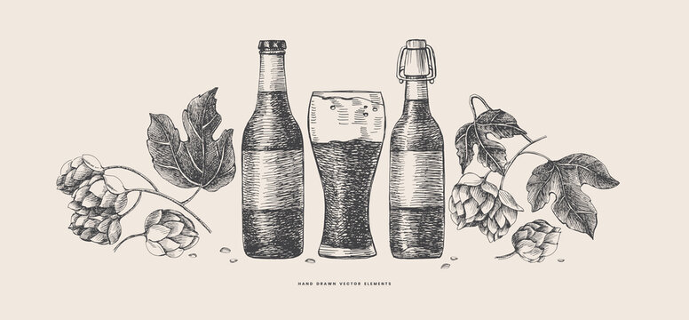 Hand-drawn bottles, glass of beer, leaves, cones hop on light isolated background. Botanical vector illustration. Label design element, packaging for the production of craft beer in retro style.