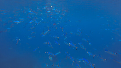 blue water background