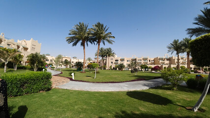golf course with palm trees and sand