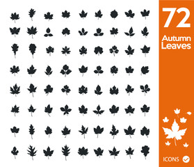 Naklejka premium Set of 72 black leaves