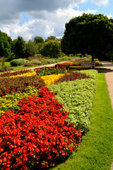 Botanischer Garten in G&uuml;tersloh im Juli, bunte Blumenwiese	
