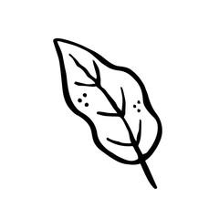 Herbs. Ink plant. Black color. Vector illustration isolated on white background. Little leaf. 