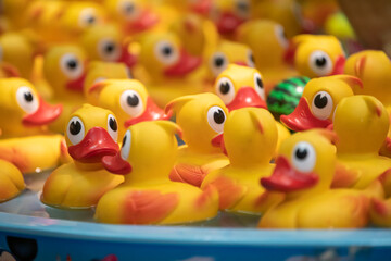 group of yellow rubber ducklings