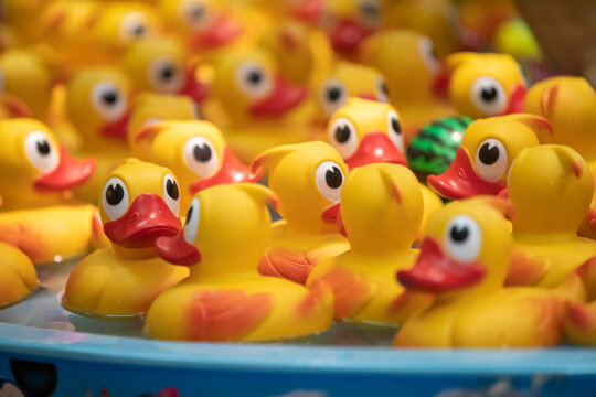 group of yellow rubber ducklings