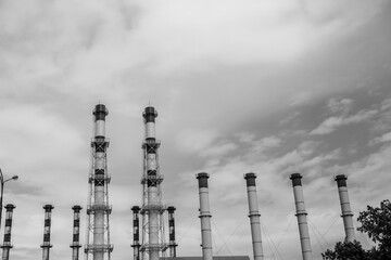Plant pipes in black and white