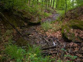 Beautiful picturesque scenic view of a mountain stream with little water due to drought and insufficient rainfall in the spring in the woods during the day.