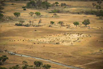 Fototapeta na wymiar Aerial view of Okavango Delta, Botswana