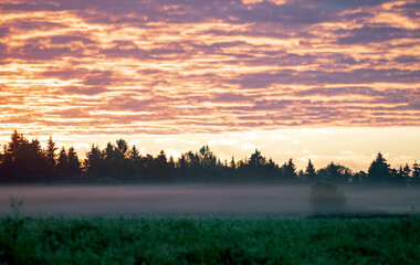 Red clouds in the morning sunlight and fog at dawn.