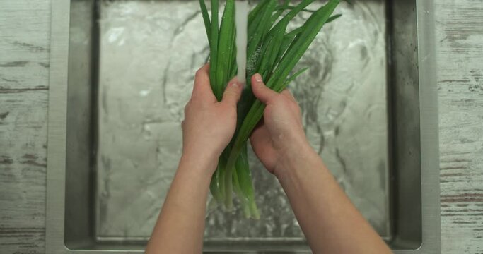 Female Hands Wash Green Spring Onion Bunch By Stream Of Water. Close Up Top Shot