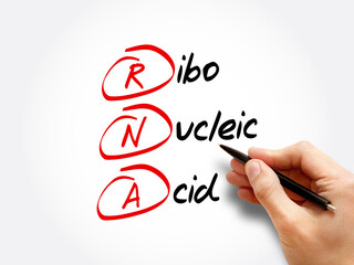 RNA - Ribonucleic acid acronym, medical concept background