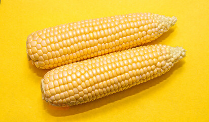 Cobs of ripe corn