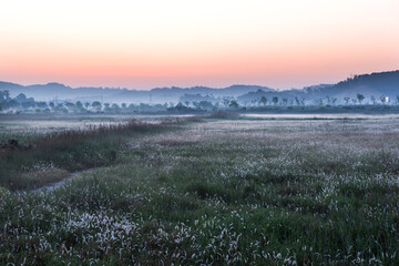 Scenery view windmill landscape surrounded by fog during morning haze at dawn, wetland ecological grand park.