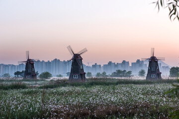Obraz premium Scenery view windmill landscape surrounded by fog during morning haze at dawn, wetland ecological grand park.
