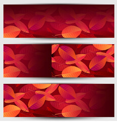 Autumn leaves banner or header set. Fall background. Red and orange foliage. Thanksgiving season holiday concept. Realistic 3d vector illustration.