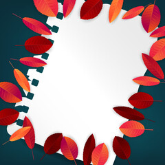 Autumn leaves background. Fall banner template. Red and orange foliage on torn out sheet of paper. Thanksgiving season holiday concept. Realistic 3d vector illustration.