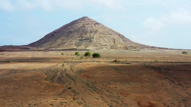 Aerial shot of Monte Leste on the island of Sal, Cape Verde. Low flying approaching shot of some trees in the Savannah.