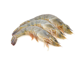 shrimp prawn isolated on white background
