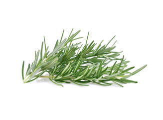 Fototapeta premium Rosemary isolated on white background