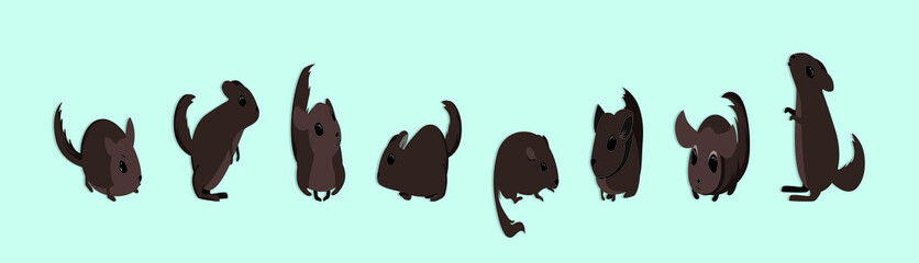 set of chinchilla with various models. isolated on blue