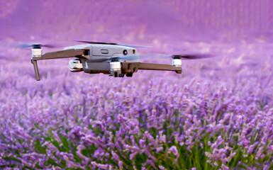 Drone in lavender flower field