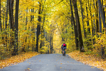 Autumn road in the forest, landscape. Autumn forest. A walk on the bike. Autumn background copy space.