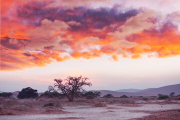 Obraz na płótnie Canvas Namib