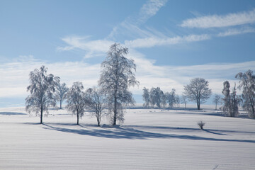 Winterlandschaft mit Schnee