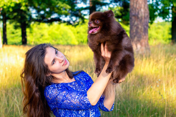 A beautiful girl with a Pomeranian on her hands walks in nature.