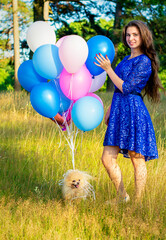 Pomeranian with balloons. A girl plays with a Pomeranian and balloons. Give a dog a birthday present.