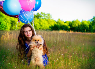 Pomeranian with balloons. A girl plays with a Pomeranian and balloons. Give a dog a birthday present.