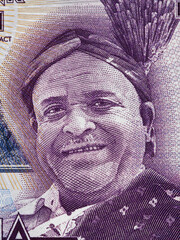 Inkosi Ya Makhosi M'Mbelwa II portrait on Malawi 20 kwacha banknote close up macro, Malawian money closeup