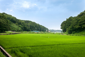 寺家ふるさと村（横浜市青葉区）