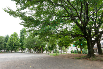 若草台第一公園（横浜市青葉区）