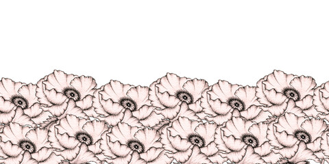 vintage poppies seamless border, hand drawn ink floral illustration design with realistic poppy flowers for fabric decoration, card or invitation