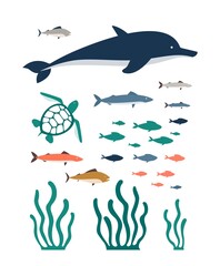 Aquarium and sea animals, fish and plants set flat vector illustration isolated.